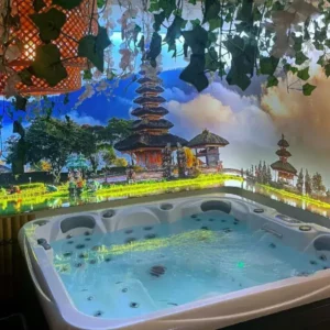 image salle spa bali